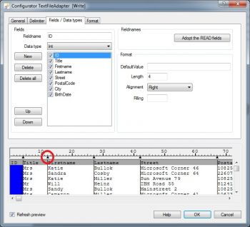 Flat File fields and data types