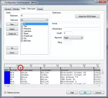 Flat File fields and data types